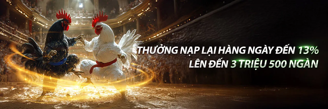 Đá gà trực tuyến MU9 Code 2026